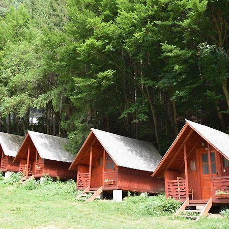 Cabanute Si Camping Dracula Capatineni-Paminteni Exterior foto