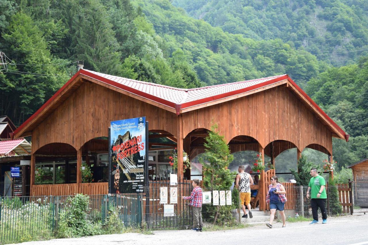 Cabanute Si Camping Dracula Capatineni-Paminteni Exterior foto