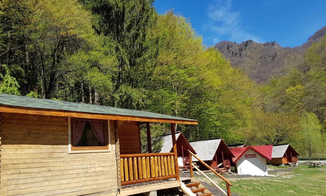 Cabanute Si Camping Dracula Capatineni-Paminteni Exterior foto